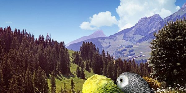 Part Company EP Manfred cover