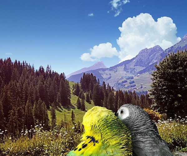 Part Company EP Manfred cover