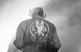 las aves - lioness