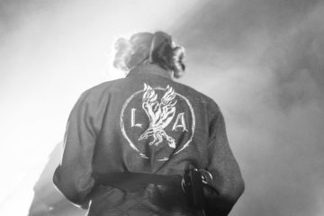 las aves - lioness
