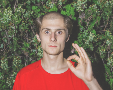 Jacques-a-lot-of-jacques