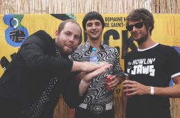 Fuzzy Vox en interview à rock en seine
