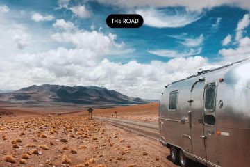 The Road - Thylacine
