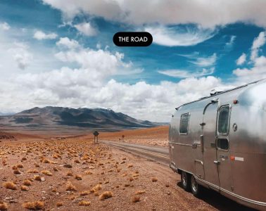 The Road - Thylacine