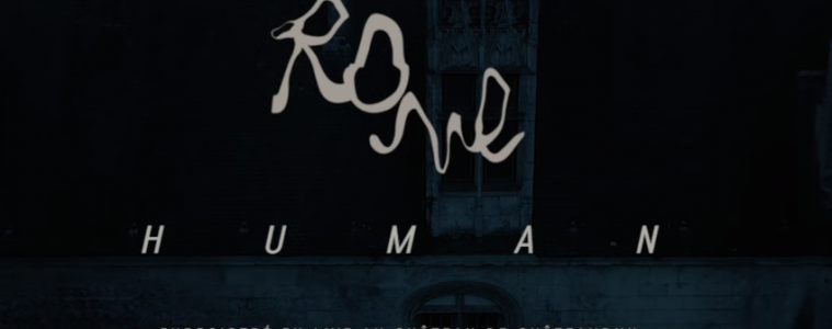rone-human live blogothèque