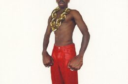 Couverture d'album de Tyler, the creator - Don't Tap The Glass