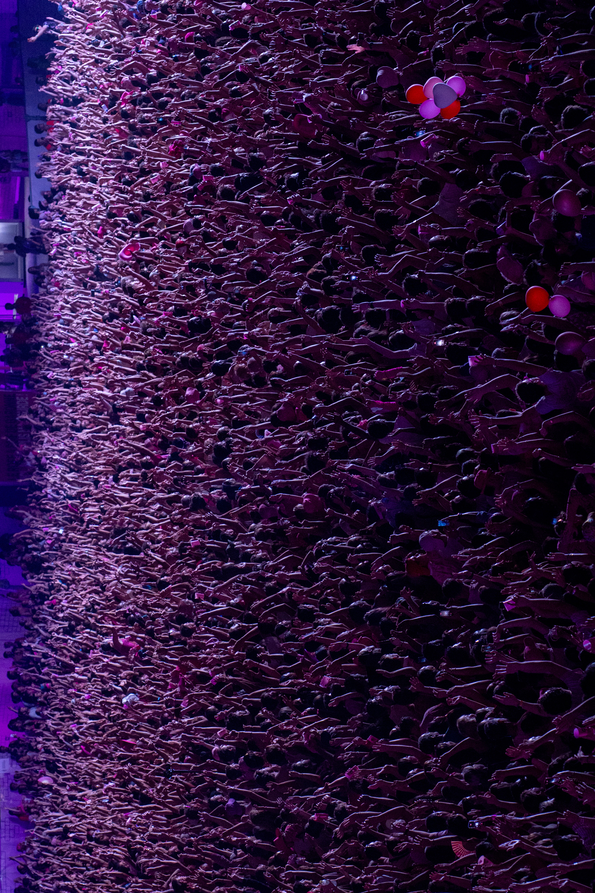 Rose Festival 2026 : une édition record